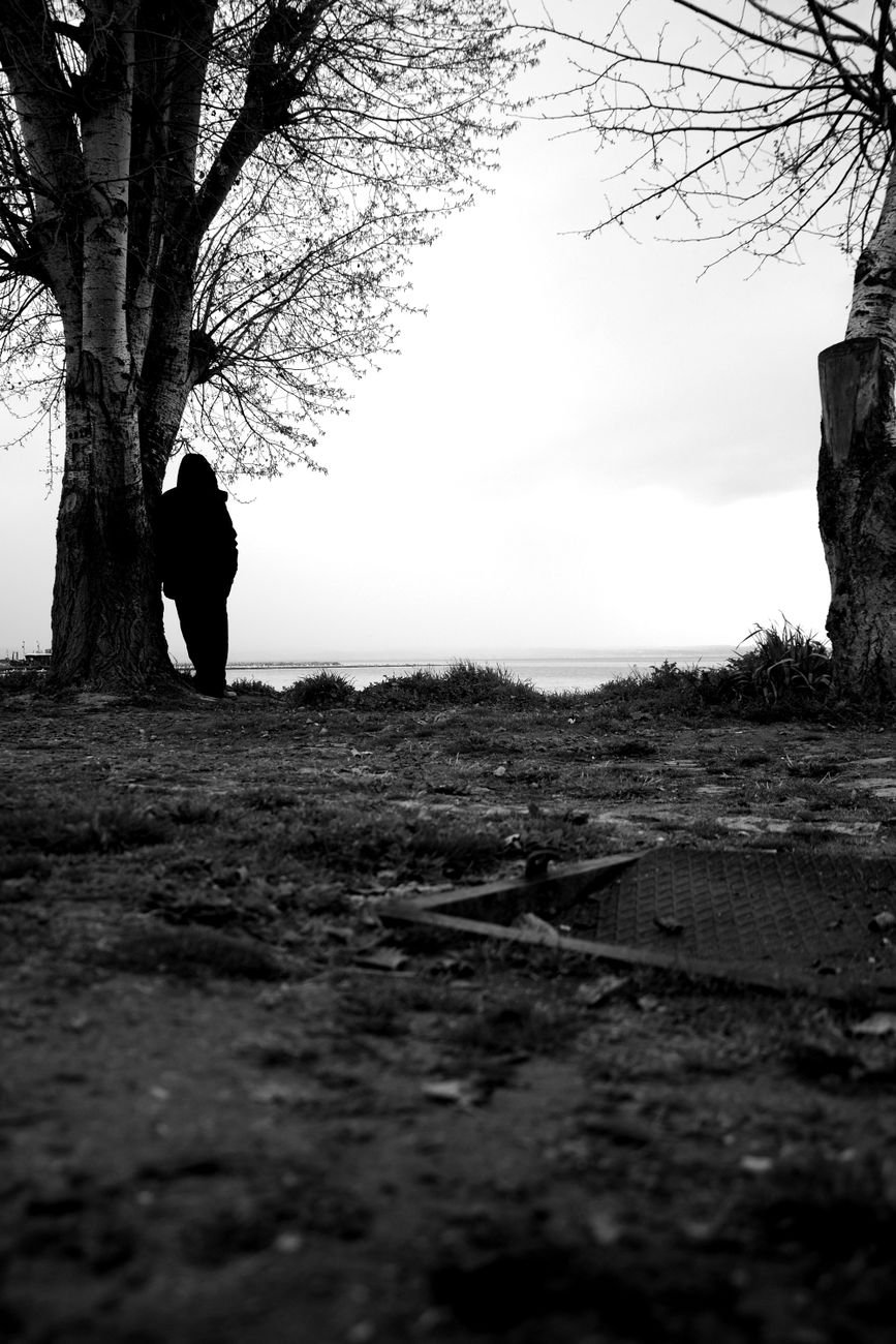 lonely silhouette by tree in black and white
